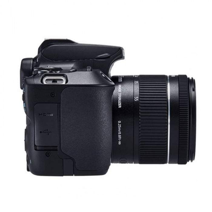 Canon eos 250d kit отзывы. Кэнон 250d цена и отзывы.